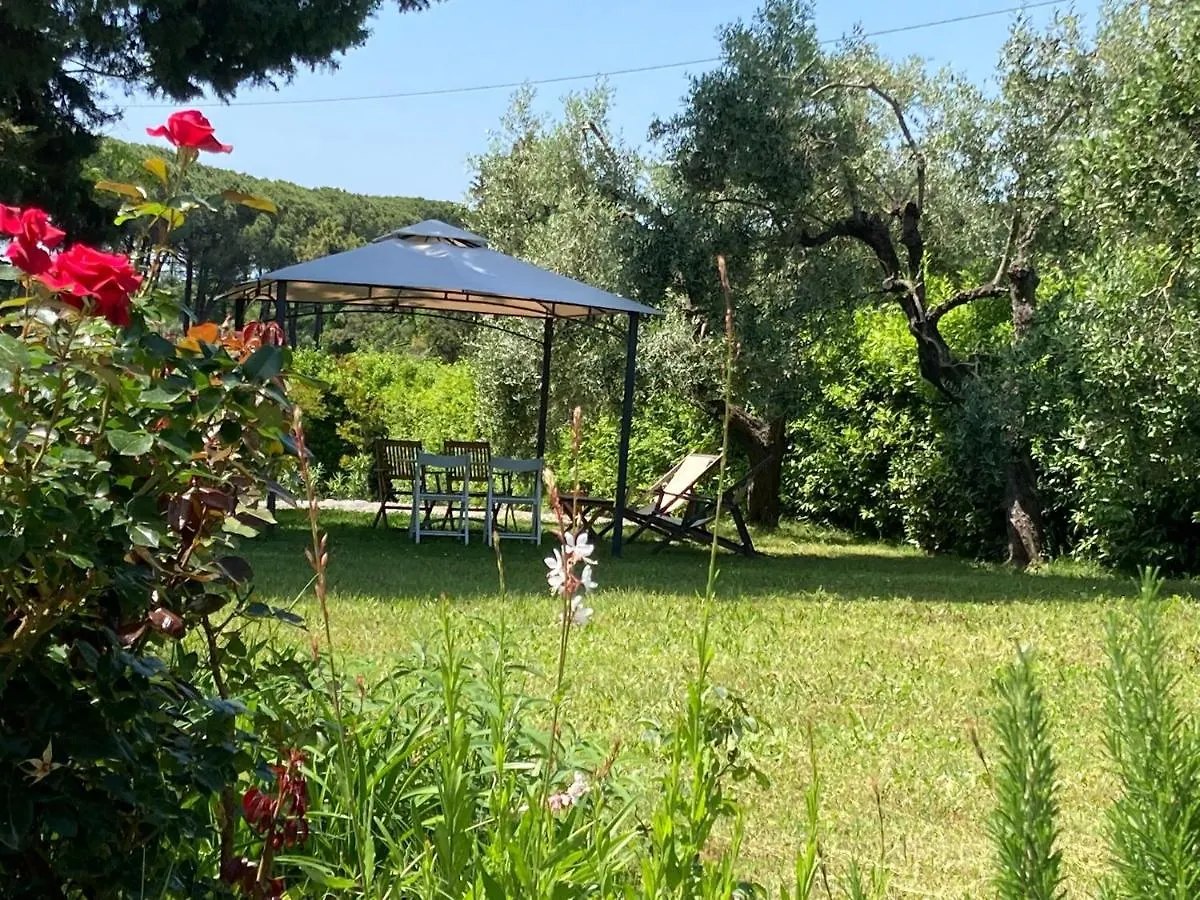 Fattoria Laviosa Apartment Fauglia Italy