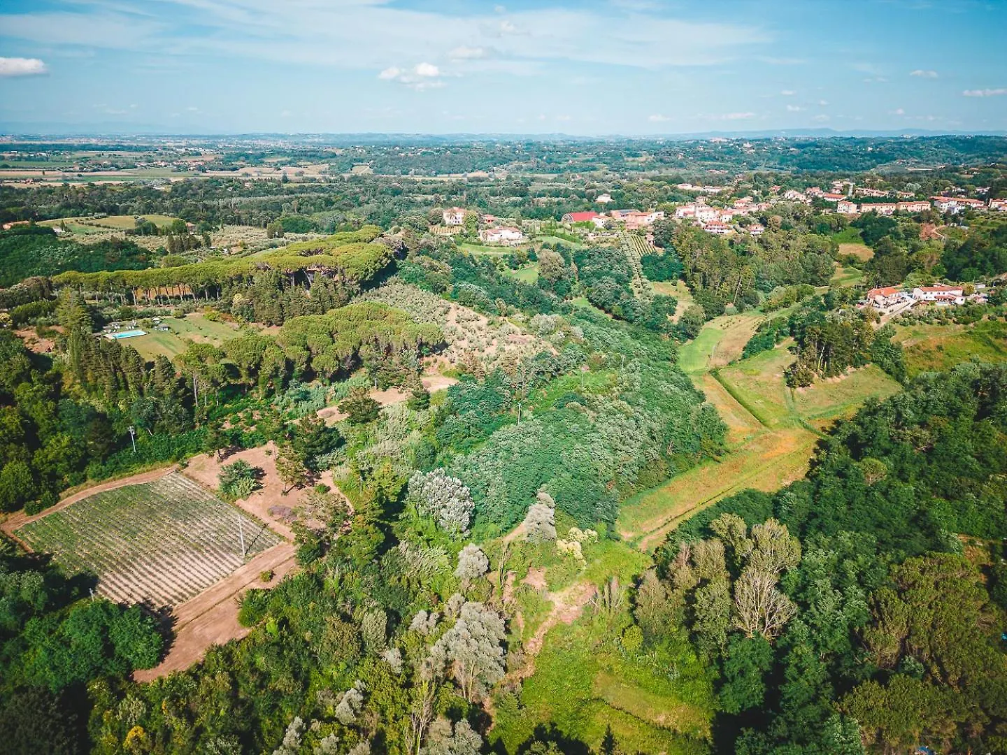 Fattoria Laviosa Apartment Fauglia Italy