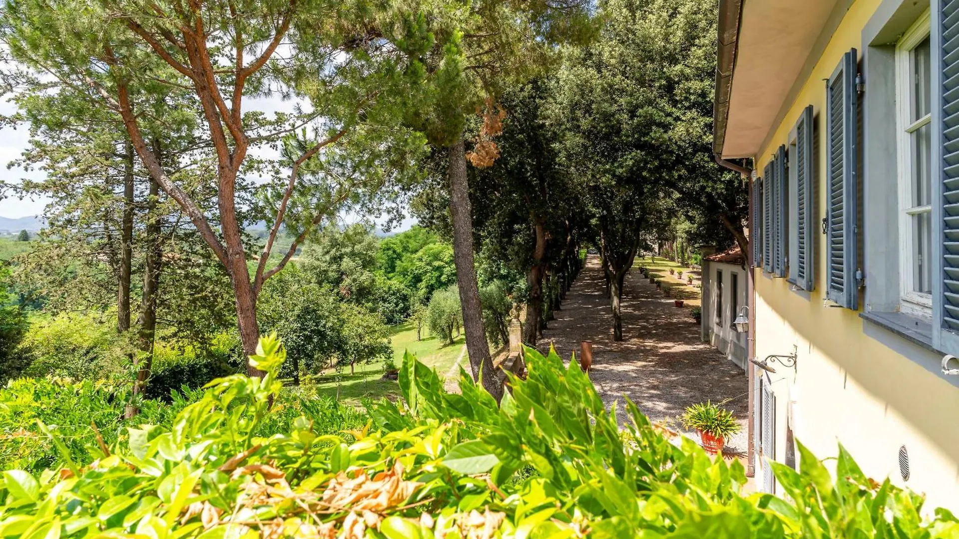 Fattoria Laviosa Apartment Fauglia