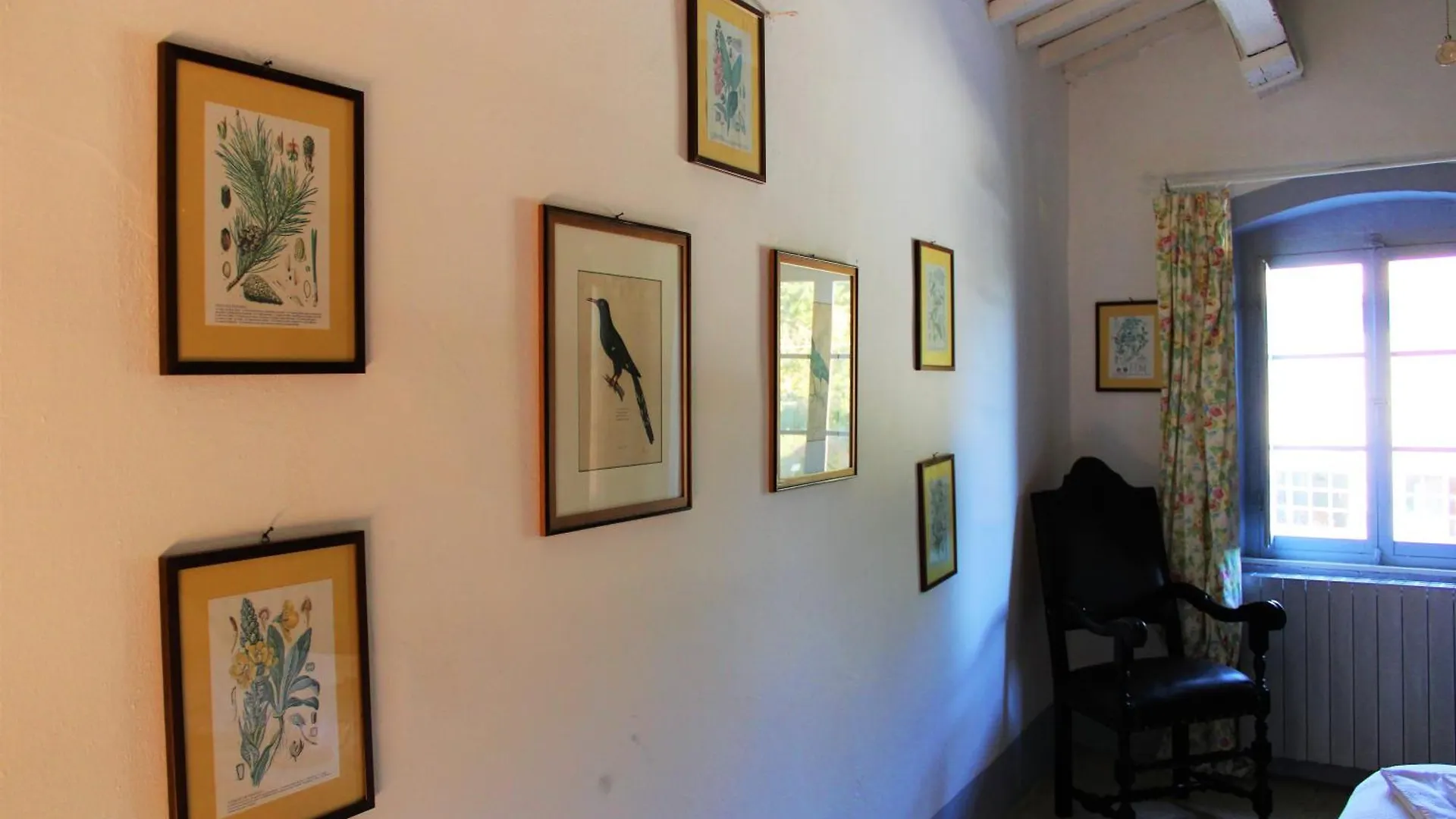 Fattoria Laviosa Apartment Fauglia 0*,