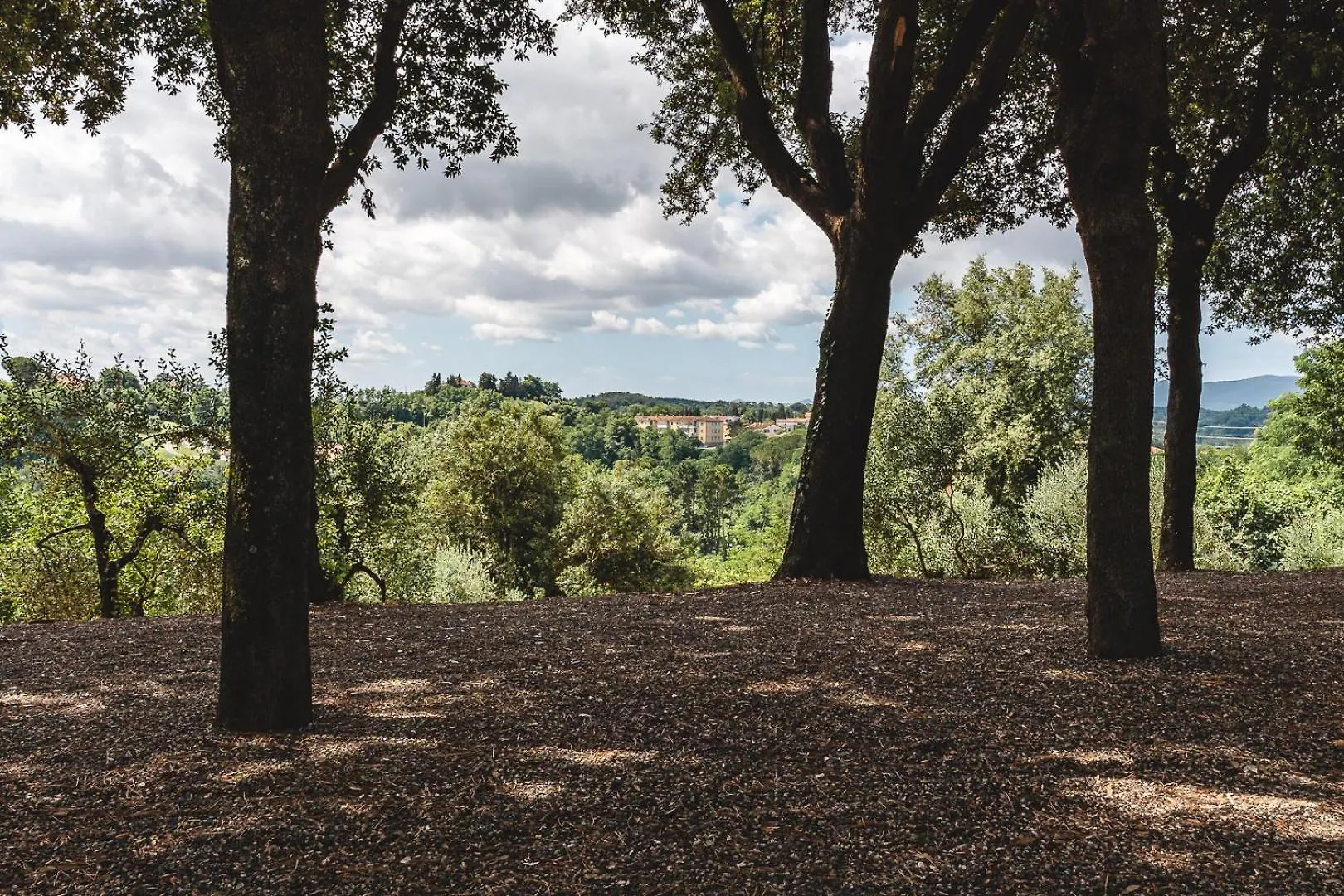 Ferienwohnung Fattoria Laviosa Fauglia
