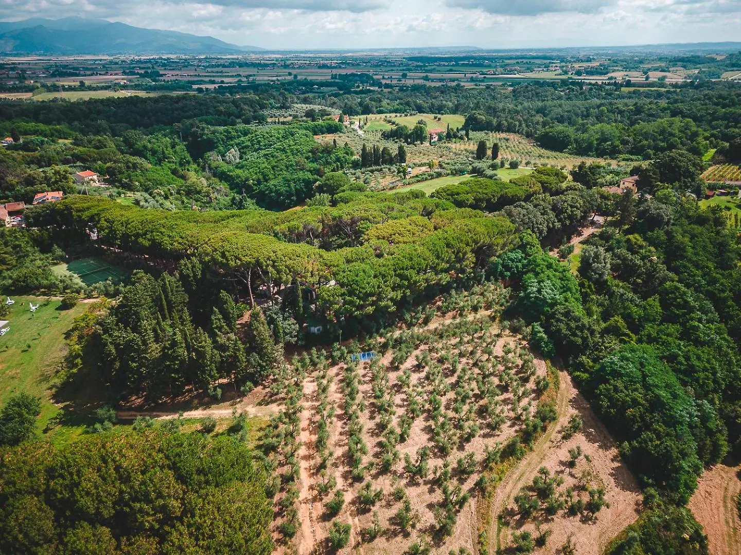 Fattoria Laviosa Διαμέρισμα Fauglia