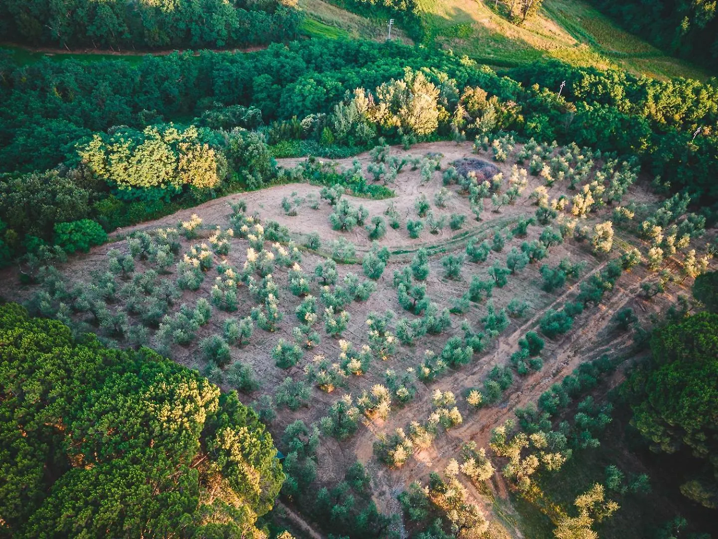 Fattoria Laviosa Διαμέρισμα Fauglia