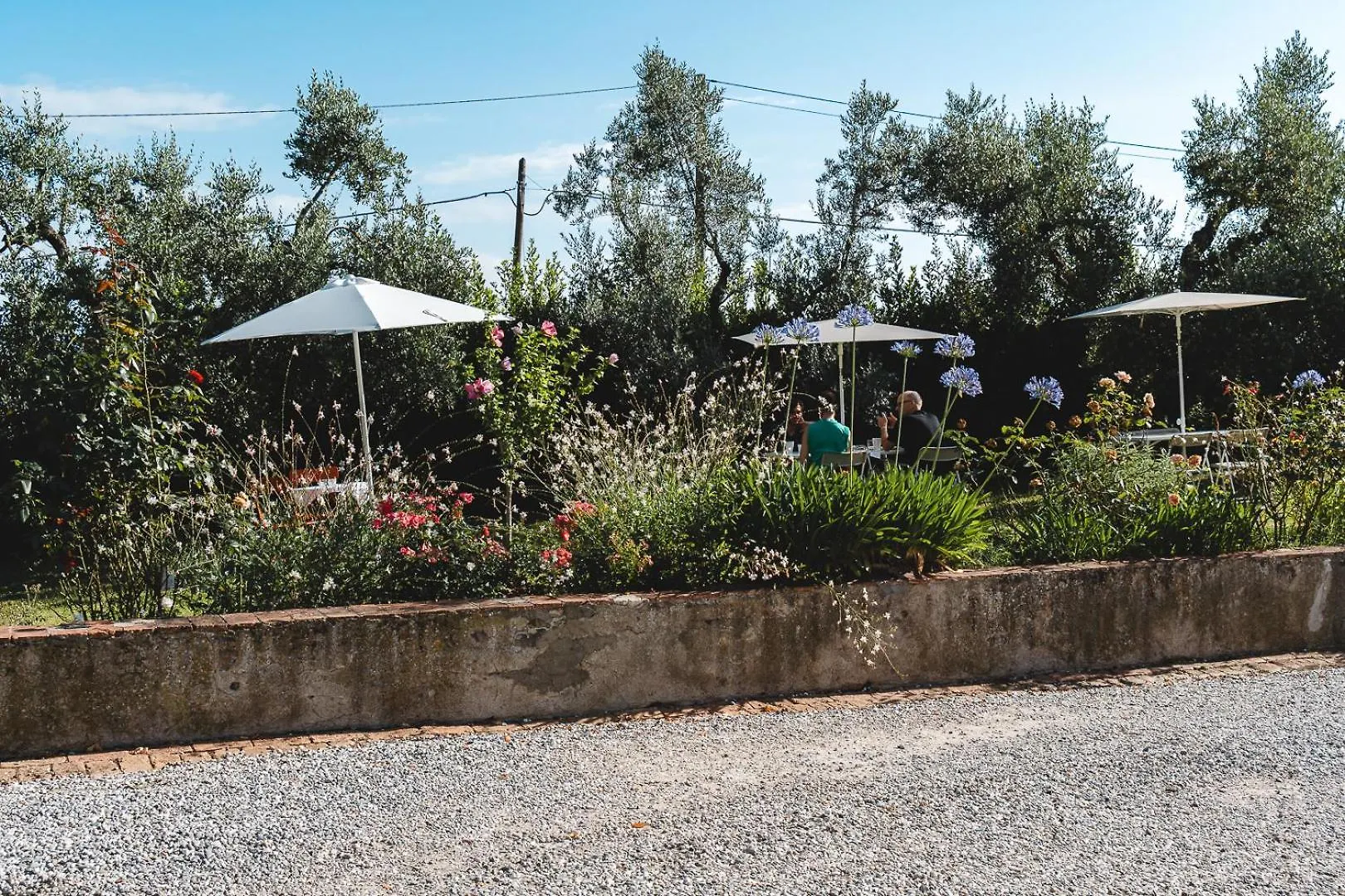 Fattoria Laviosa Διαμέρισμα Fauglia